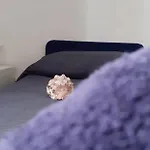 レジデンツァ イル カステッロ 3*
